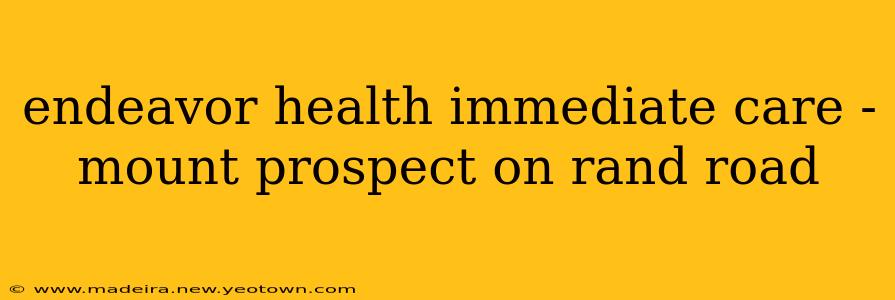 endeavor health immediate care - mount prospect on rand road