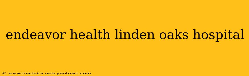 endeavor health linden oaks hospital