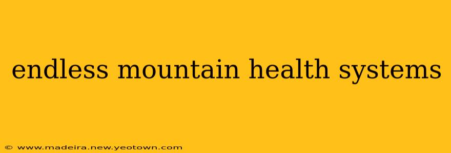 endless mountain health systems