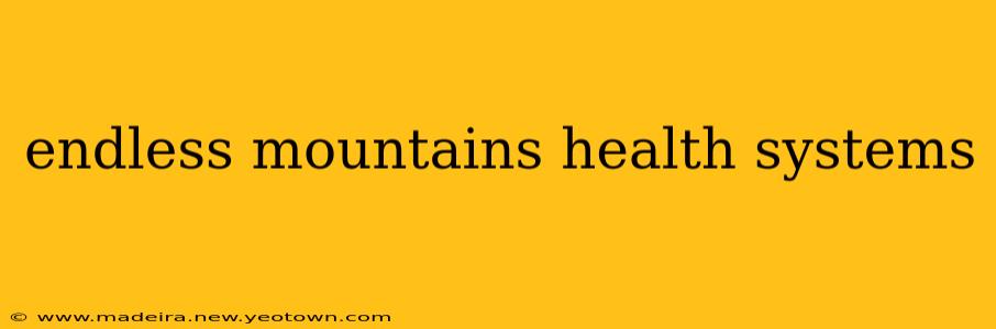 endless mountains health systems