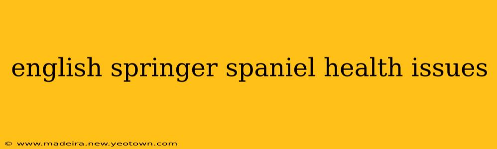 english springer spaniel health issues