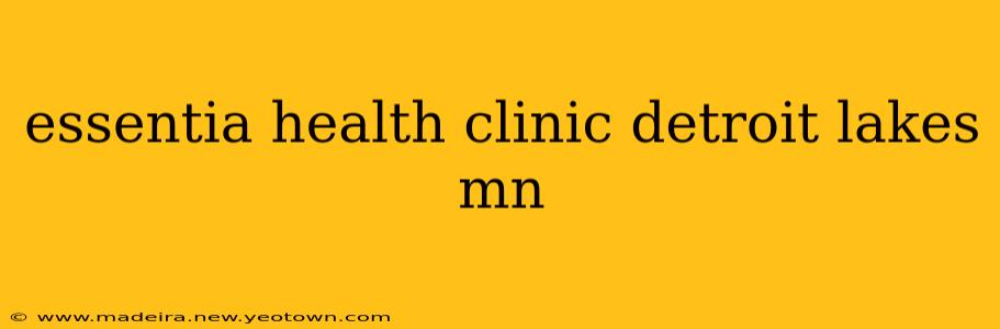 essentia health clinic detroit lakes mn