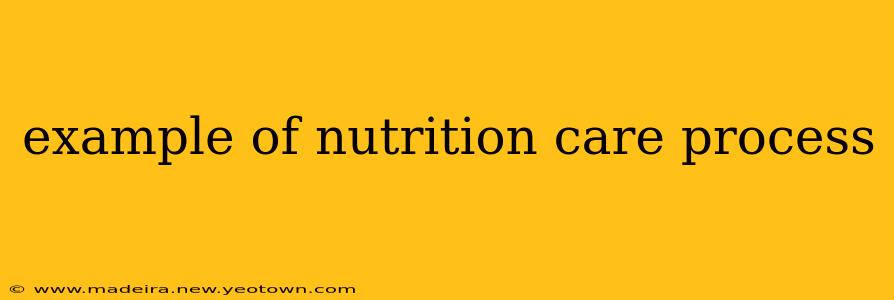example of nutrition care process