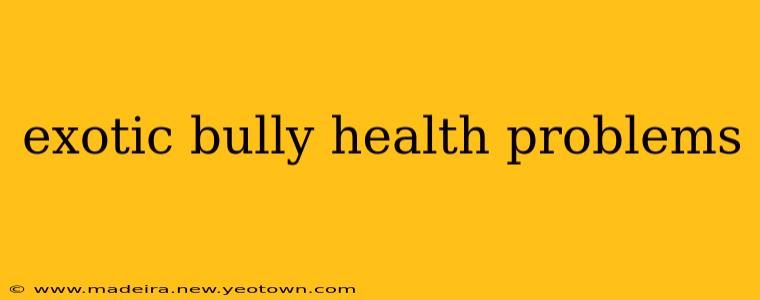 exotic bully health problems
