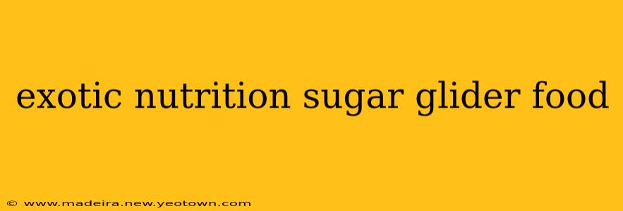 exotic nutrition sugar glider food