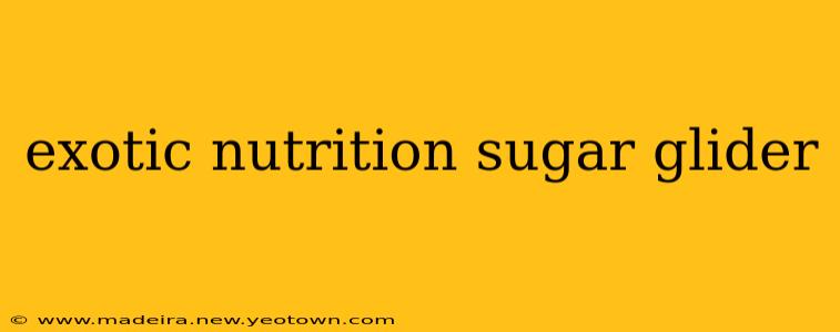 exotic nutrition sugar glider