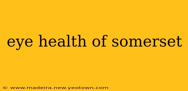 eye health of somerset