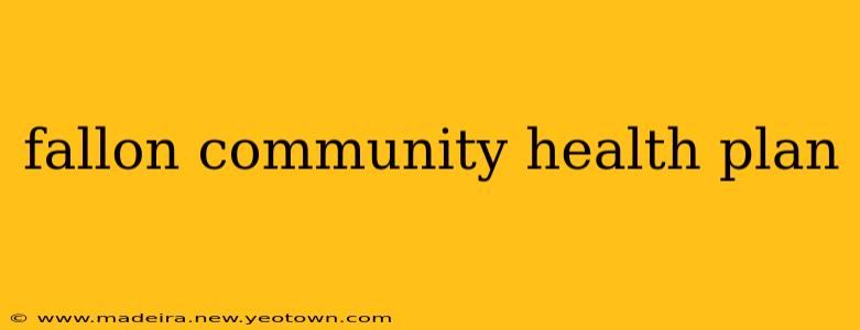 fallon community health plan