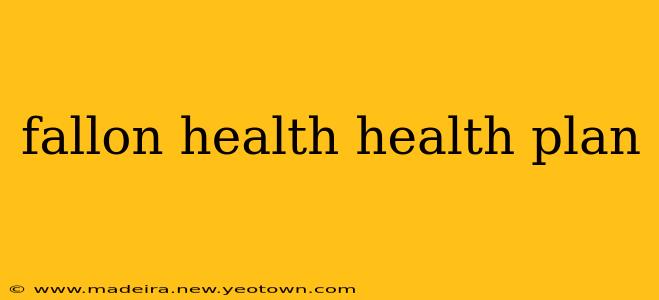 fallon health health plan
