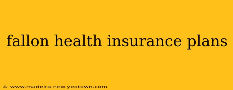fallon health insurance plans