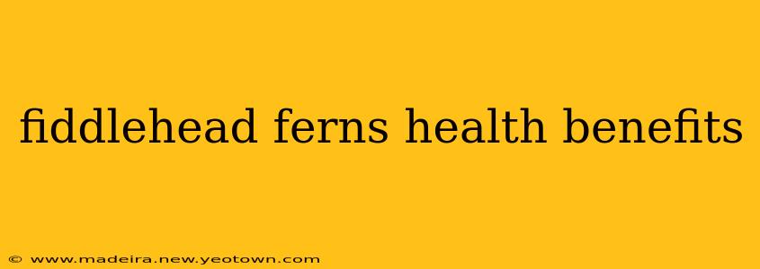 fiddlehead ferns health benefits