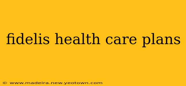 fidelis health care plans
