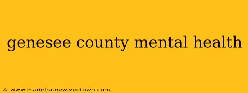 genesee county mental health