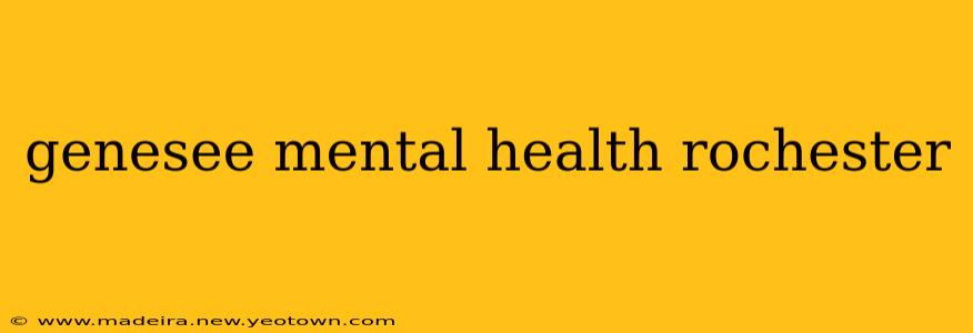 genesee mental health rochester