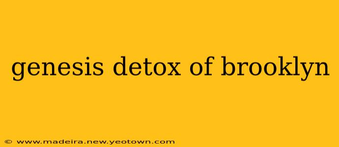 genesis detox of brooklyn