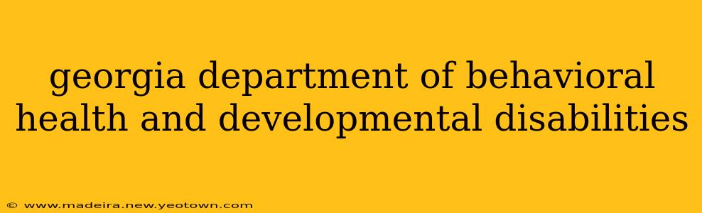georgia department of behavioral health and developmental disabilities