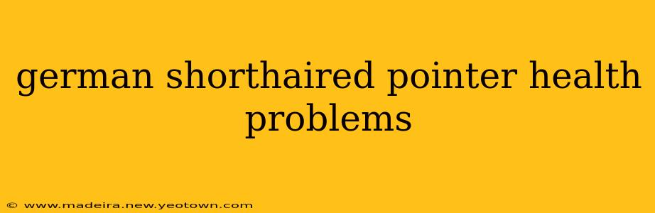 german shorthaired pointer health problems