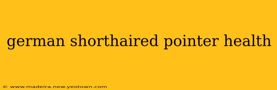 german shorthaired pointer health