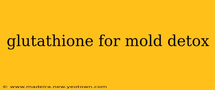 glutathione for mold detox