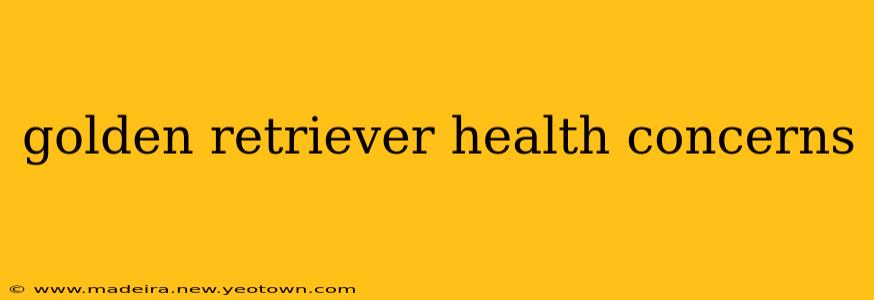 golden retriever health concerns