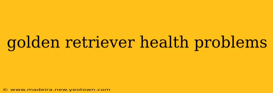 golden retriever health problems