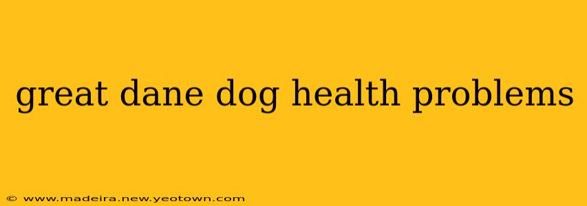 great dane dog health problems