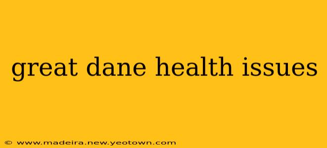great dane health issues