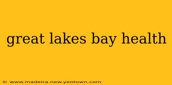 great lakes bay health