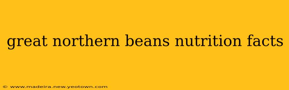 great northern beans nutrition facts