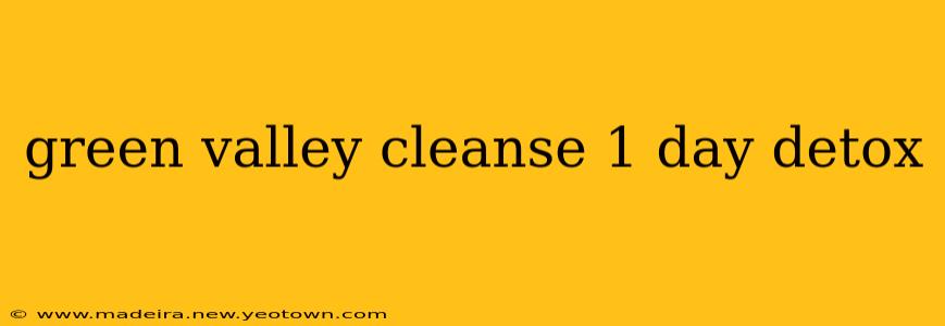 green valley cleanse 1 day detox