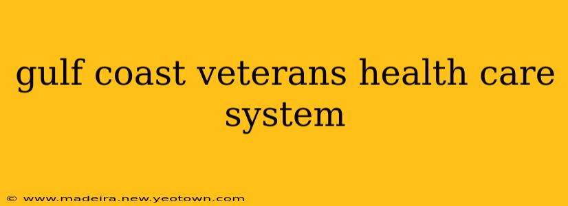 gulf coast veterans health care system
