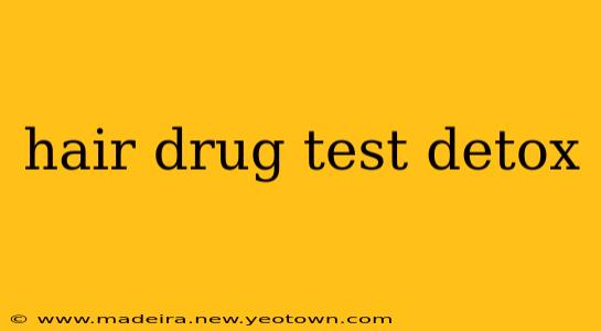 hair drug test detox
