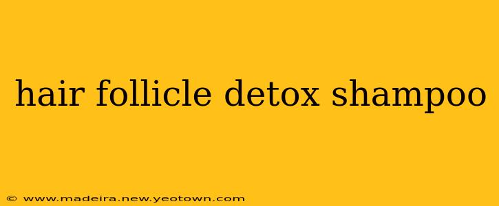 hair follicle detox shampoo