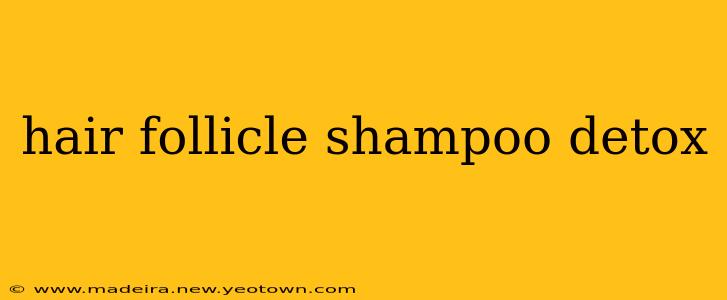 hair follicle shampoo detox