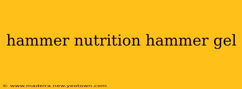 hammer nutrition hammer gel