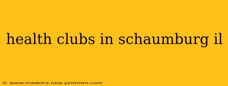 health clubs in schaumburg il