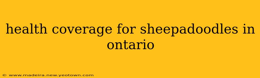 health coverage for sheepadoodles in ontario