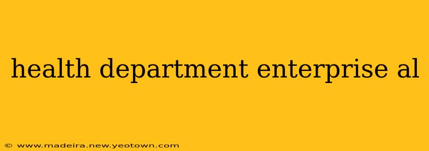 health department enterprise al