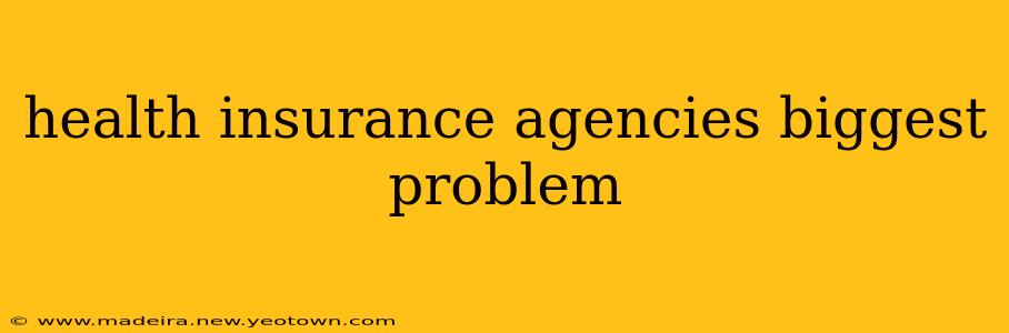 health insurance agencies biggest problem