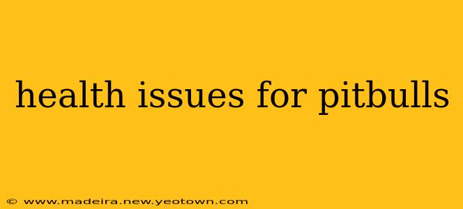 health issues for pitbulls