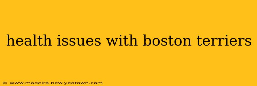 health issues with boston terriers