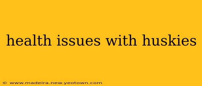 health issues with huskies