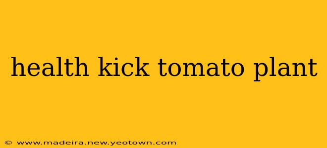 health kick tomato plant