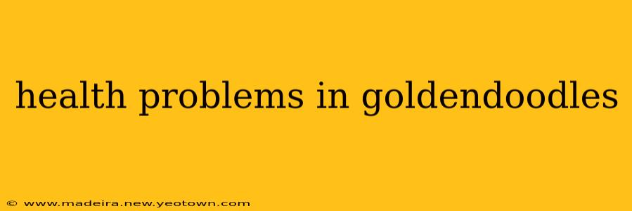 health problems in goldendoodles