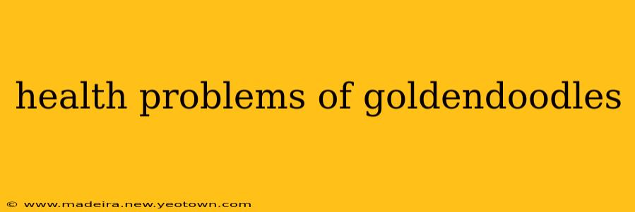 health problems of goldendoodles