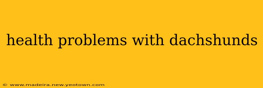health problems with dachshunds