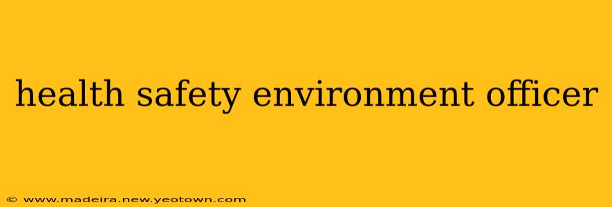 health safety environment officer