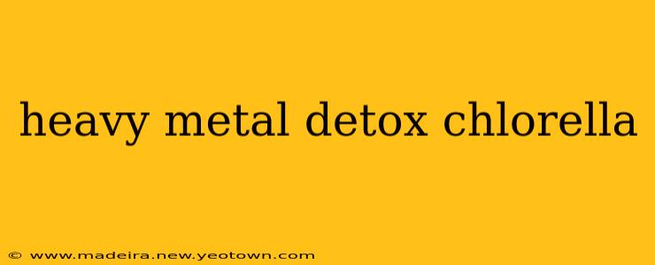 heavy metal detox chlorella