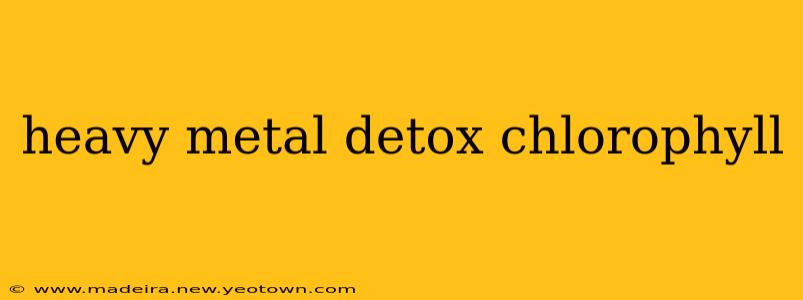 heavy metal detox chlorophyll