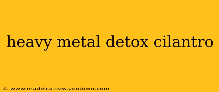 heavy metal detox cilantro